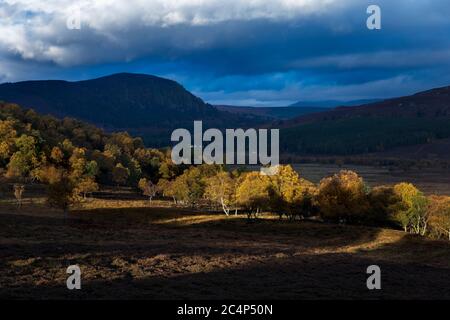 Braemar; River Dee Valley; Schottland; Großbritannien Stockfoto