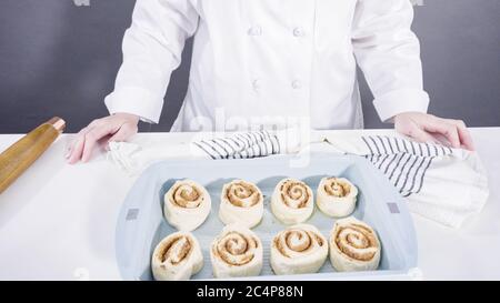 Ungebackene Zimtbrötchen in einer blauen Backform. Stockfoto