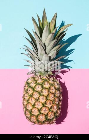 Palmblätter auf rosa und blauem Hintergrund im Sonnenlicht Stockfoto