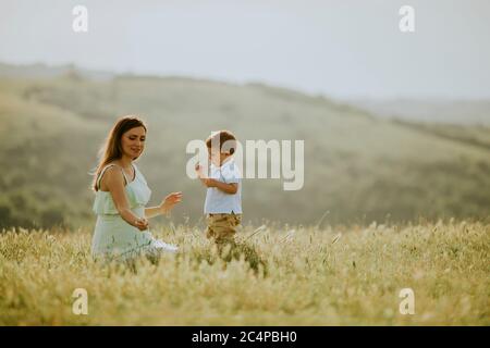 Junge schwangere Mutter mit ihrem süßen kleinen Jungen auf dem Feld an schönen Sommertag Stockfoto
