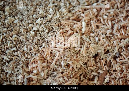 Nahaufnahme von Holzspänen nach der Holzbearbeitung in der Schreinerei, Hintergrund Stockfoto