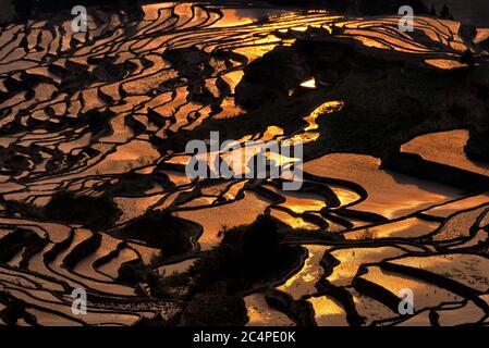 Sonnenaufgang über Reisterrassen in Duoyishu Scenic Area in Yunnan Region, China. Diese malerische Gegend ist der beste Ort, um den Sonnenaufgang über den Reisfeldern zu beobachten Stockfoto