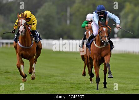 Settle Petal geritten von Paddy Bradley gewinnt die Gratis-Tipps täglich auf attheraces.com Handicap Einsätze auf Windsor Racecourse. Stockfoto