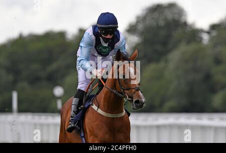 Settle Petal geritten von Paddy Bradley gewinnt die Gratis-Tipps täglich auf attheraces.com Handicap Einsätze auf Windsor Racecourse. Stockfoto