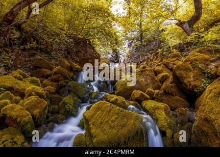 Wasserfall. Bunte Landschaft mit schönen Wasserfall bei Mountain River im Wald Stockfoto