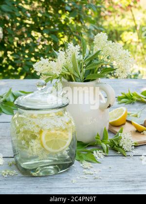 Holunderblütenlimonade nur Rechte für Großbritannien und Irland. Stockfoto