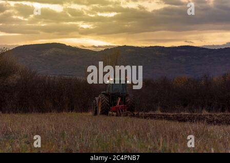 Traktor pflügt Felder bei Sonnenuntergang. Stockfoto