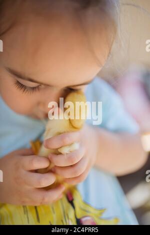 Kleines Mädchen hält ein gelbes Entlein in ihren Händen. Stockfoto