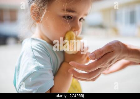 Mutter gibt ihrer Tochter ein kleines Entenkücken. Stockfoto