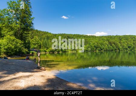 Bad Ischl: nussensee im Salzkammergut, Oberösterreich, Oberösterreich, Österreich Stockfoto