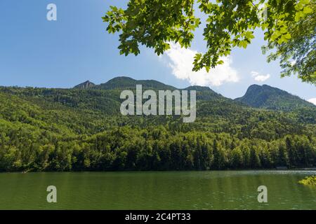 Bad Ischl: nussensee, Berg Katergebirge, Gipfel Katrin im Salzkammergut, Oberösterreich, Oberösterreich, Österreich Stockfoto