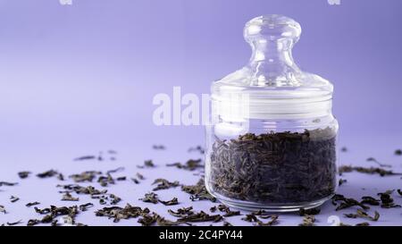 Großer schwarzer Tee aus Blatt im Glas. Tee mit Blättern. Blätter von grünem Tee in der Flasche. Violetter Hintergrund. Ort für Nachricht. Stockfoto