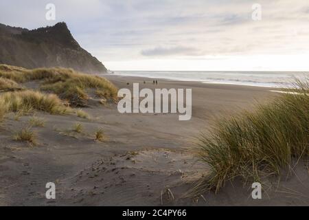 Menschen, die an den Sandstränden der Küste von Oregon mit Cape Sebastian im Hintergrund und grasbewachsenen Dünen spazieren, die der Szene einen Hauch von Farbe hinzufügen Stockfoto