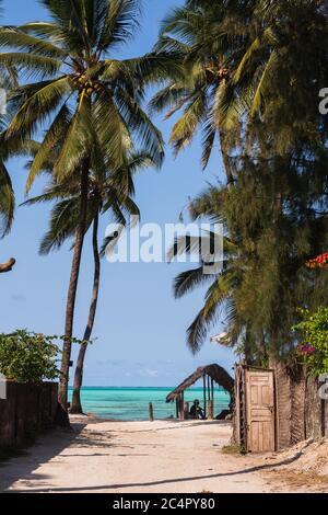 Der Blick auf den Indischen Ozean und eine Strandhütte in der Ferne, von einem sandigen Weg gesäumt von Palmen in Jambiani, Sansibar in Tansania, vertikal Stockfoto