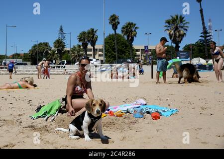 Oeiras, Portugal. Juni 2020. Am 28. Juni 2020 genießen die Menschen die Freizeit mit ihren Hunden an einem haustierfreundlichen Strand in Oeiras, Portugal. Portugal wird seine COVID-19-Reaktion auf einen "Alarmzustand", den niedrigsten von drei Notständen, am 1. Juli weiter herabstufen, sagte der portugiesische Premierminister Antonio Costa am Donnerstag. Quelle: Pedro Fiuza/Xinhua/Alamy Live News Stockfoto