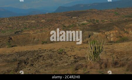 Blick auf Desierto de la Tatacoa (Tatacoa Wüste) in Villavieja, Huila / Kolumbien Stockfoto