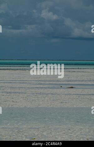 Jambiani Beach bei Ebbe mit Blick auf den Indischen Ozean in Sansibar, Tansania Stockfoto