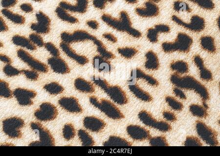 Wild Tier Muster Hintergrund oder Textur, Leopard Dschungel Thema drucken Stockfoto