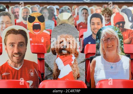 NOTTINGHAM, ENGLAND. 28. JUNI - Fotos des Nottingham Forest Unterstützers während des Sky Bet Championship Matches zwischen Nottingham Forest und Huddersfield Town am City Ground, Nottingham am Sonntag, 28. Juni 2020. (Kredit: Jon Hobley - MI News) Kredit: MI Nachrichten & Sport /Alamy Live Nachrichten Stockfoto