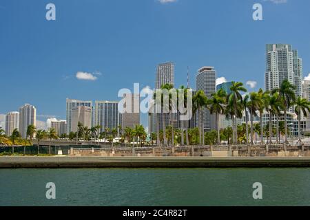 Skyline der Innenstadt von Miami, Miami, Florida, USA Stockfoto