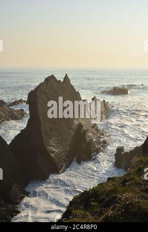 Felsige Klippen und Wellen am Hartland Quay, North Devon, Großbritannien Stockfoto