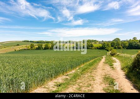 Der Monarch's Way Long Distance Path führt in der Nähe des Michelgrove Parks in der Nähe von Patching, im South Downs National Park, West Sussex, England, Großbritannien. Stockfoto