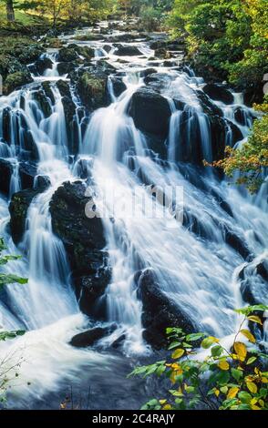 Swallow Falls (Rhaeadr Ewynnol) Wasserfälle auf Afon Llungwy Fluss in der Nähe von Betws-y-Coed, im Herbst, Wales, Großbritannien Stockfoto