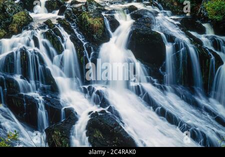 Swallow Falls (Rhaeadr Ewynnol) Wasserfälle auf Afon Llungwy Fluss in der Nähe von Betws-y-Coed, im Herbst, Wales, Großbritannien Stockfoto