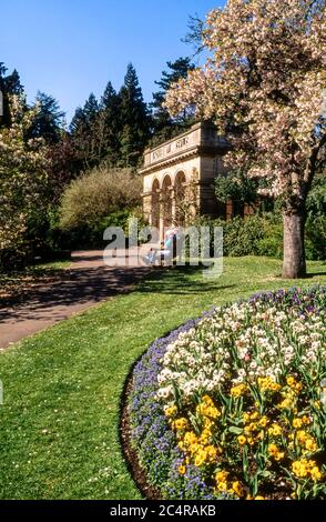 Blumen, Rasen und Blumenbeete im Frühling The Botanical Gardens, Royal Victoria Park, Bath, Großbritannien Stockfoto