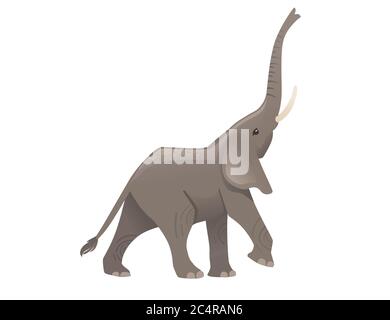 Niedlichen Erwachsenen Elefant auf dem Spaziergang mit Rüssel bis Cartoon Tier Design flache Vektor-Illustration isoliert auf weißem Hintergrund Stock Vektor