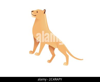 Erwachsene Löwin african wild räuberische Katze weiblichen Löwen Cartoon niedlich Tier Design flache Vektor Illustration isoliert auf weißem Hintergrund Stock Vektor