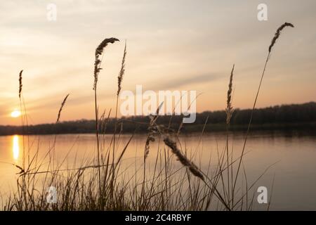 Schöner Sonnenuntergang am Ufer eines großen Flusses Stockfoto