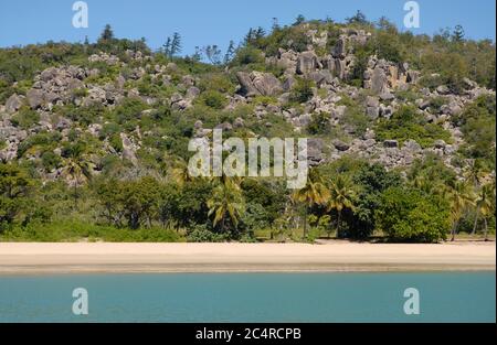 Blick vom Meer auf den palmengesäumten Strand von Radical Bay, Magnetic Island, Queensland, Australien Stockfoto