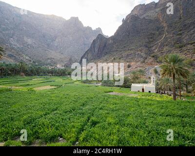 Bilad Sayt, ein Bergdorf im Al Hajar Gebirge, Sultanat von Oman. Stockfoto