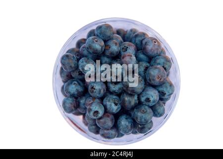 Heidelbeeren frische Draufsicht in Glas auf weißem Hintergrund Stockfoto