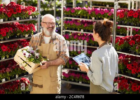 Hochwinkel-Porträt von lächelnden älteren Mann hält Box mit Blumen, während im Gespräch mit weiblichen Arbeiter in Plantage im Freien, kopieren Raum Stockfoto
