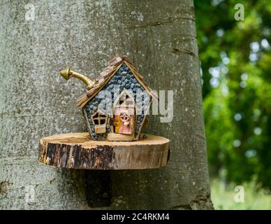 Imaginäre schrullige Miniatur-Hütte auf Baum in Märchen, Archerfield Estate, East Lothian, Schottland, Großbritannien Stockfoto