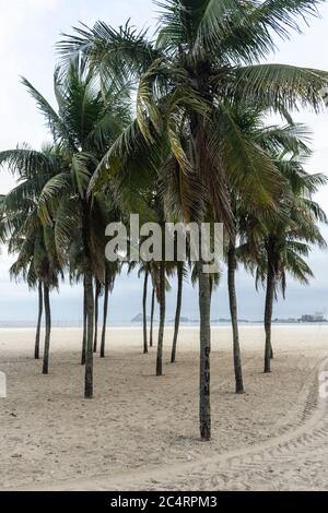 Blick auf Palmen an einem leeren Copacabana-Strand während des Covid-19-Ausbruchs in Rio de Janeiro, Brasilien Stockfoto