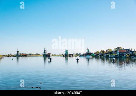 Bunte Windmühlen in Zaanse Schans Niederlande Stockfoto