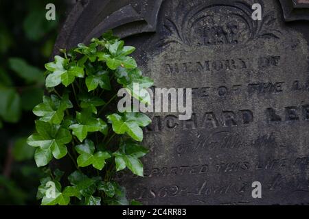 Ivy wächst auf altem Grabstein. West Midlands. Britische Inseln. Stockfoto