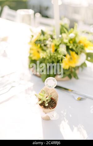Sukkulent. Hochzeitsgeschenk. Umgeben von Kraftpapier und grünem Laub. Stockfoto