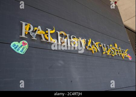 Der Justizpalast, Den Haag, Niederlande. Sonntag, 28. Juni 2020. (Covid-19). 37 Demonstranten nahmen heute Nachmittag in Malieveld und in der Nähe von Malieveld in einem unerlaubten Protest fest. Bananen wurden heute in den Niederlanden an den Eingängen zu mehreren Gerichten platziert und eingekeilt. Die Bananen sollten ein Land repräsentieren, das heute für eine ‘Bananenrepublik' steht. (Covid-19) Maßnahmen werden von einigen als Verletzung demokratischer Rechte angesehen und als Vorwand für die Begrenzung der Freiheit vor der Pandemie angesehen. Letzte Woche wurden in einigen Stadthallen Blumen als Hommage an den Tod von Du platziert Stockfoto