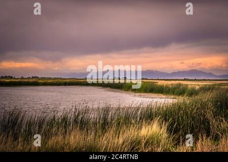 Alamosa National Wildlife Refuge im Frühling Stockfoto