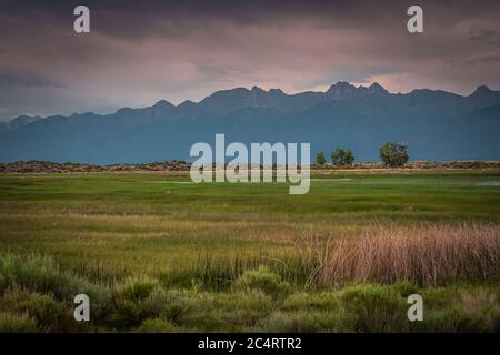 San Luis Lakes State Park Landschaft Stockfoto