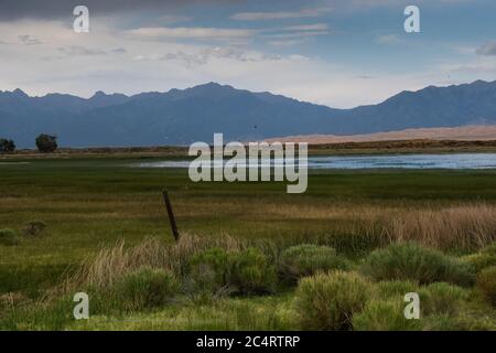 San Luis Lakes State Park Landschaft Stockfoto