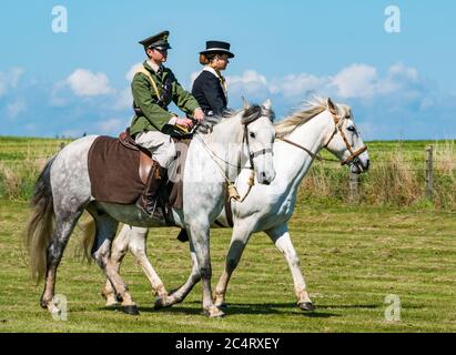 Paar Pferde in Kostüm; Les Amis D'Onno Reitstall-Team bei Kriegsveranstaltung, East Fortune, East Lothian, Schottland, Großbritannien Stockfoto