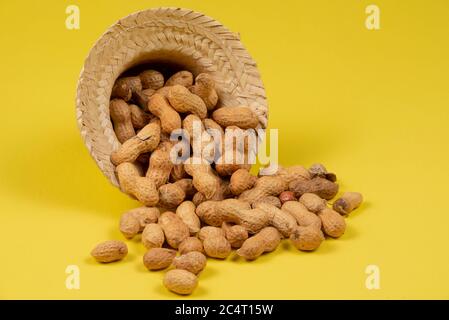 Erdnüsse in Schale auf gelbem Hintergrund. Typische Prise Juni Party (Festa Junina) Stockfoto