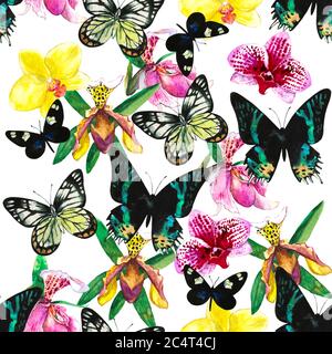 Nahtloses Muster mit bunten tropischen Schmetterlingen, Insekten, Blumen. Aquarelldarstellung. Original realistische Hand bemalt Druck. Stockfoto