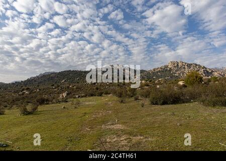Hohe Berge mit Bäumen bedeckt, die unter dem blauen Himmel leuchten Himmel Stockfoto