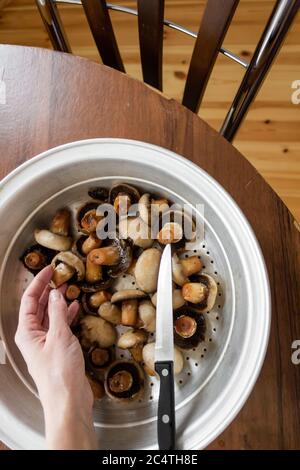 Die Hand der Frau hält ein Messer in der Hand und vor ihr liegen Pilze Stockfoto